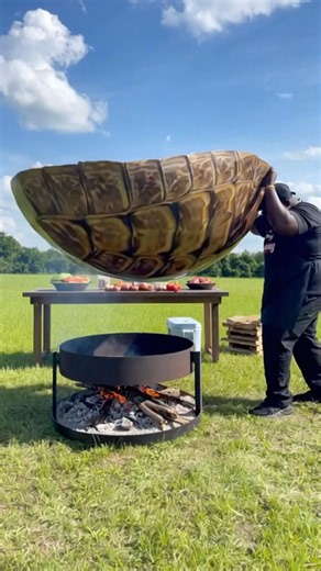 I Made Turtle Soup in a Giant Turtle Shell 😱🐢🔥
