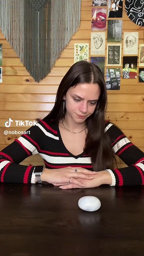 Elmo and Rocco - A Sesame Street Adventure