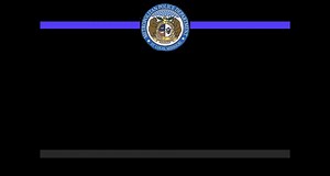 4.4K views | St. Louis Metropolitan Police Department (OFFICIAL) on Reels | Facebook