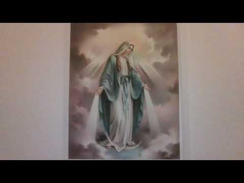 A Woman clothed with the sun