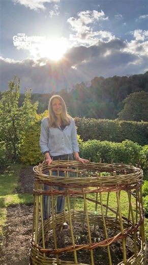 How are your #MakeAMetreMatter projects coming along? ﻿Our ﻿﻿Audio/Visual Editor, Claire, has been on a bit of an adventure with hers... but we think it looks fantastic! ﻿Watch til the end to see who else has been enjoying this project 👀 There's still time for you to get involved and pledge a metre project – simply register your space on our website for a chance to win a £1,000 voucher to spend at Crocus.co.uk or one of two runner-up prizes of £500 vouchers. | BBC Gardeners' World Magazine