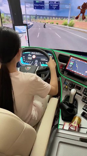 Euro Truck Simulator 2: A Driver's Emotional Journey