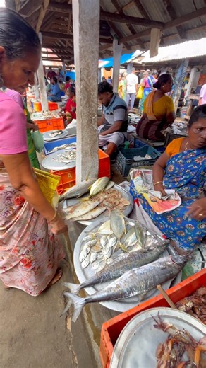 😳இன்னைக்கு ராமன்புதூர் மீன் மார்க்கெட்டில் மீன் ரேட் இவ்வளவா?Nagercoil Kanyakumari kanniyakumari