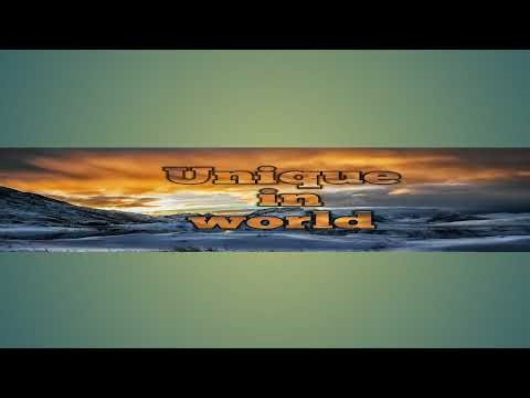 Corn Silage Chopping in Action part 2