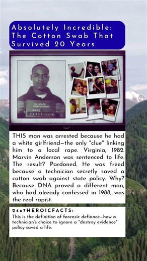 Absolutely Incredible: The Cotton Swab That Survived 20 Years