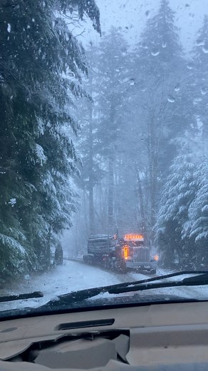 That time of year again ❄️ #timber #timberfaller #timberfalling #logging #chainsaw #stihl #bluecollar #treework #lumberjack #fyp #pnw #pnwonderland #pacificnorthwest #chasingwaterfalls #oldgrowth #woodwork #woodcraft #woodsmen #redbull #Rockstar #braap #bluecollarwoman #westcoastfaller #chainsawman #oregon #husqvarna #timbersports #logtruck #snowflakes #snowday #snowfall | Timber Falling Couple