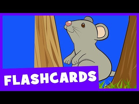 Prepositions | Talking Flashcards