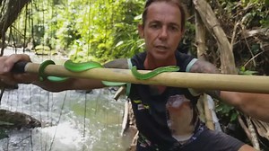 Traditional snake charmer demonstrating handling techniques