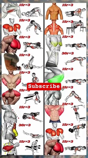 full body workout video 💀☠️! home workout video #fullbodyworkout #homeworkout #fitness