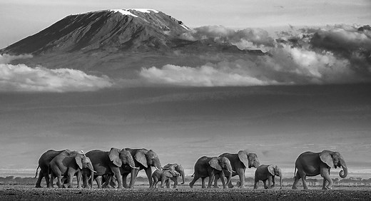 16 Best Fine Art Photographers You Need to Know - Photography Project