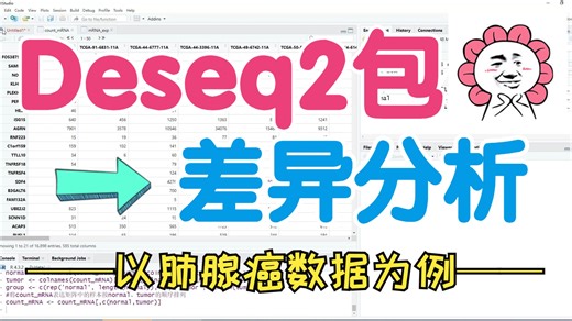 如何使用Deseq2包进行差异分析？