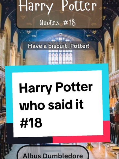 Professor McGonagall's Humorous Moment in Harry Potter