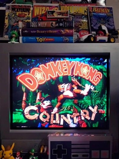 Donkey Kong Country