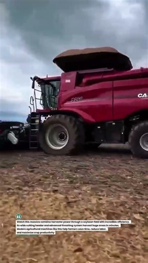 Mega Soybean Harvester in Action – Massive Field Power! 🚜🌾 #Farming #Harvester #Agriculture