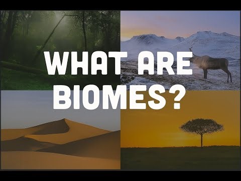 What Are Biomes?