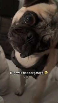 Epic Burp vs Fart Sound Battle 💥😂 (Try Not To Laugh Challenge)