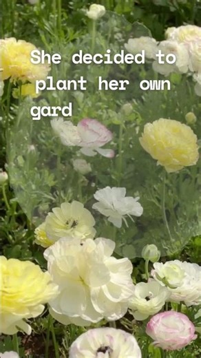 🌸 A quiet flower quote to slow your scroll. Pause. Breathe. Bloom. 🌿 Boots & Roots #9