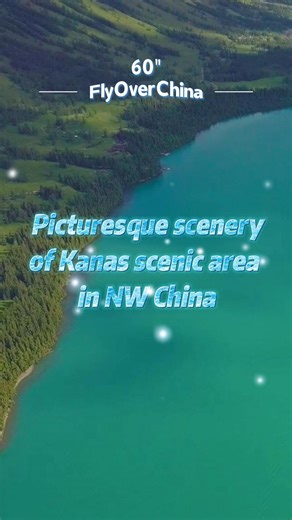 Join us to enjoy the stunning view of Kanas scenic area in northwest China's Xinjiang Uygur Autonomous Region.🤩🤩🌳🌳 Xinhua/Zhang Xiaocheng #kanasscenicarea #xinjiang #chinatravel #NaturalBeauty | FlyOverChina