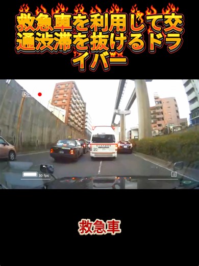 日本の青春と文化を描くアートとアニメ