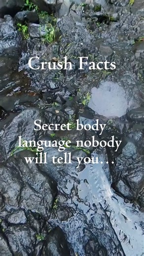 The Secret Crush Sign Hidden in Their FEET 🤫 (Psychology) #crush #crushfacts #relationshiptips