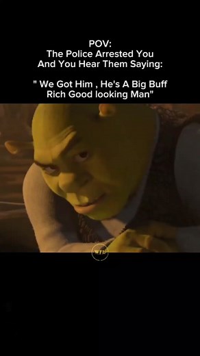 Exploring Shrek and Its Memes