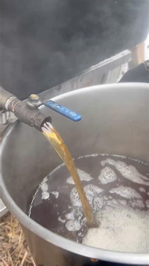 Maple syrup process! Finished cooking and then canned it!