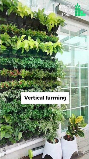 What are the different types of urban farming? || Types of urban farming