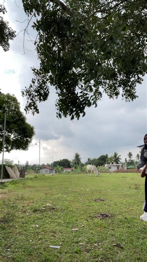 Jayse Castillo (@jccastillo23)’s videos with original sound - El Buste Drumbeaters