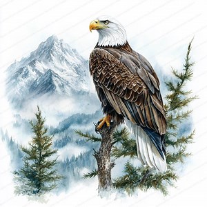 16 Clipart Eagle Flying Mountain | Bald Eagle Picture | Printable Watercolor Clipart | High Quality Jpgs | Paper Craft | Junk Journal - Etsy