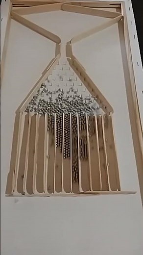 Galton Board | DIY #diy #maths #diycrafts #math #statistics #experiment #science