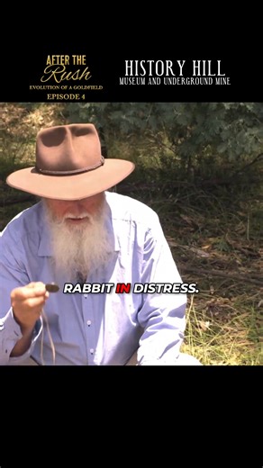 🦊 This is how bushmen called foxes using homemade whistles! Listen to the haunting sound that mimicked rabbits in distress. Pure genius! Stream the full story FREE @beamafilm! 🎬 https://beamafilm.com/catalogue-product/after-the-rush Hashtags: #FoxHunting #BushSkills #TraditionalHunting #AustralianBushcraft #WildlifeCalling #RuralSkills #AfterTheRush #Bushmen | History Hill