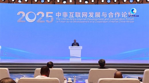 GLOBALink | China präsentiert Plan für Cyberspace-Kooperation auf chinesisch-afrikanischem Internetforum