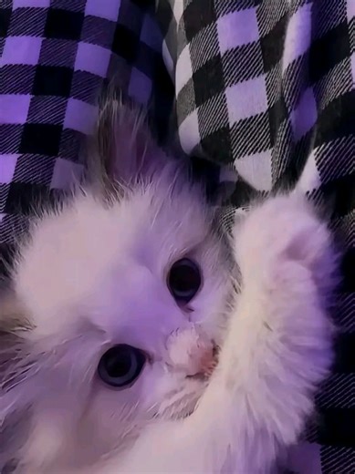 6 maps in one video 🤑✌🏼 || #milamaps #map #mapping #fyp #viral