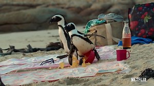 Penguin Town - Official Trailer Netflix
