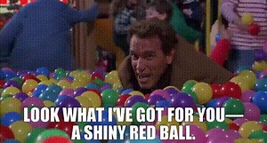Look what I've got for you— a shiny red ball.