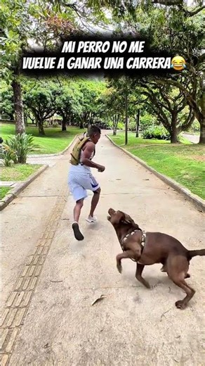 Mi perro no me vuelve a ganar una carrera😂 #humorviral #viral See less #humor #canilla #perro
