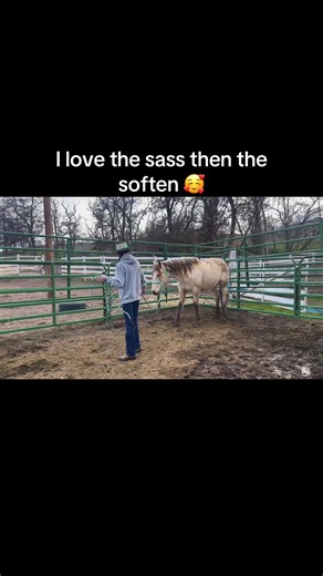 The Rare Buckaroo (@therarebuckaroo)’s videos with original sound - Tyce Delk