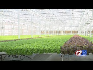 High-tech greenhouse opens in converted GE factory
