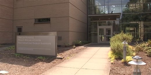 OHSU scientists receive $8.4 million with goal of developing HIV cure in less than 10 years