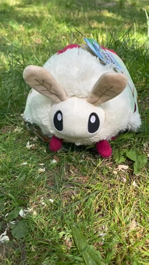 Yooo my Squishable turned into a real moth!! #lunamoth #entomology #squishable #squishablelunamoth #squishablemoth #bugtok #mothtok