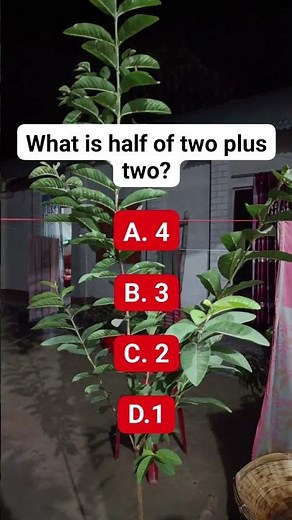 What is half of two plus two? #brainteaser #riddlepuzzle