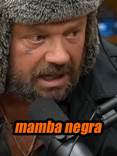 O Veneno Mortal da Cobra Mamba Negra