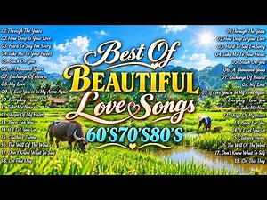 The Ultimate 80s 90s Soft Love Song Playlist 💕 Best Sentimental Oldies Love Songs For Chill Moments