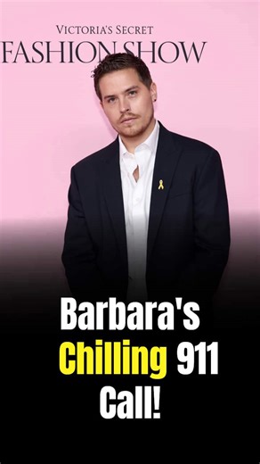 Dylan Sprouse tackles intruder at Hollywood Hills home as wife Barbara Palvin calls 911