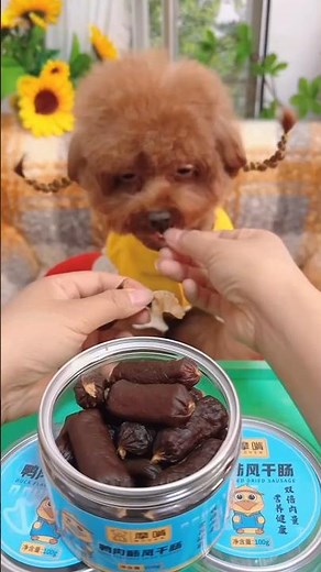 duck meat air-dried sausage, the air-dried sausage is really fragrant, no puppy can resist