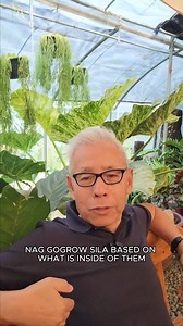 What is organic growth? #negosyo #entreprenuer #business #BusinessGrowth | Boni de Jesus