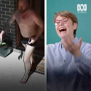 1.2M views · 36 reactions | Snakes - you can find them in our shopping centres, our backyards and our offices. So what do you do when you see a 'nope rope'? #straya | ABC Midwest and Wheatbelt | Facebook