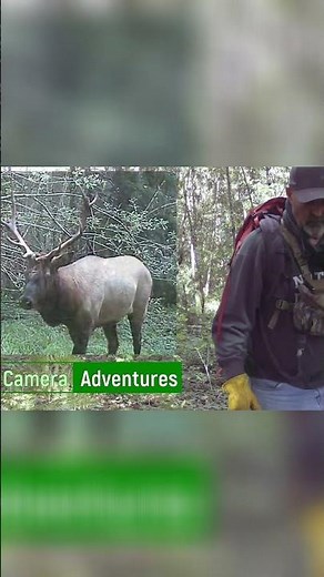 Wildlife Trail Camera Secrets Revealed!