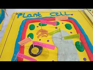 INTEGRATED SCIENCE GRADE 8 KNEC PROJECT 2025