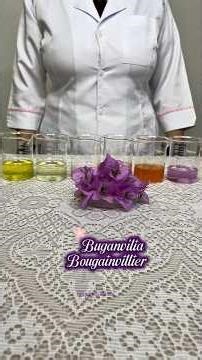 Indicador Natural de pH Utilizando a Buganvília #educação #experiment #química